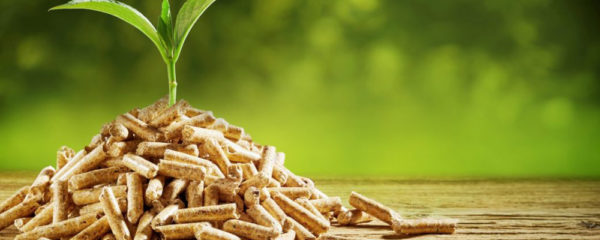 bûches de bois